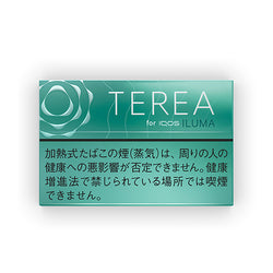 Terea Mint Heatsticks - 1 Carton